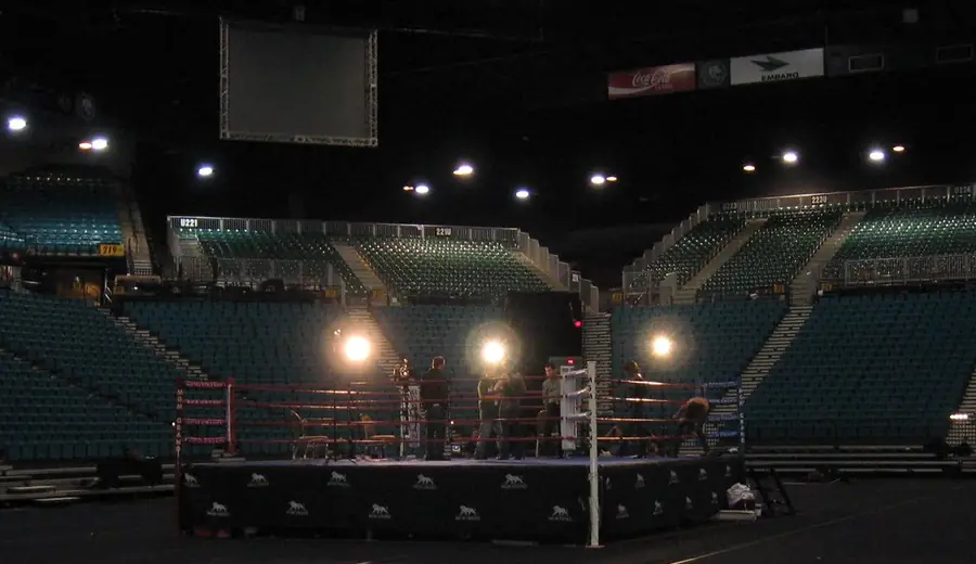 Sprievodca stávkovaním na box: Ako stávkovať na boxerské zápasy