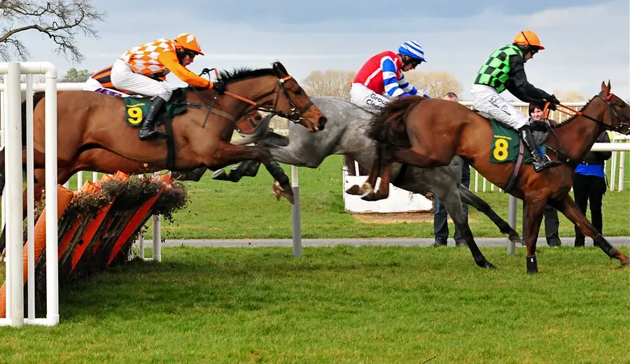 Cheltenham Festival trendy: Dátami podložená stávková analýza