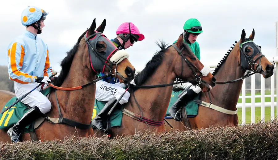 Cheltenham Gold Cup stávkovanie: Ako vybrať víťaza
