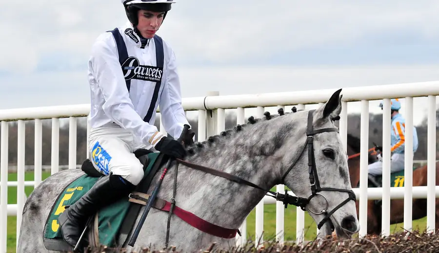 Ako používať Racing Post: Kompletný sprievodca pre výskum stávok na dostihy