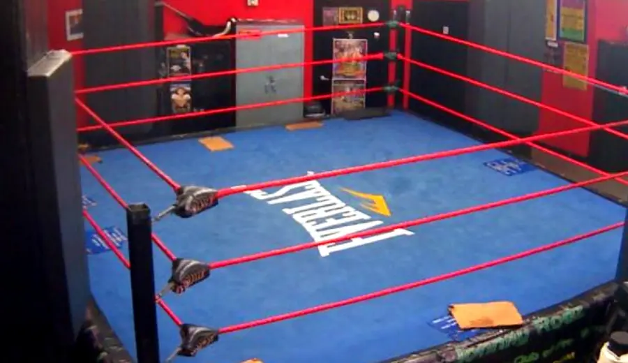 MMA stávkovanie: Ako stávkovať na UFC a bojové športy
