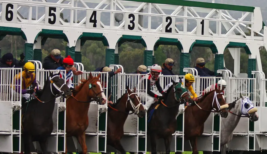 Speed ratingy v dostihoch: Ako fungujú Timeform a RPR